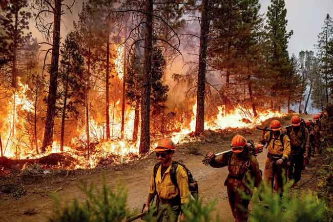 ලෝක බලවතාට ළැව් ගින්නක් පාලනය කරගන්න බැරි ඇයි ?