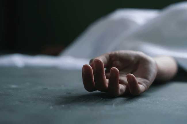 පියා පැදවූ ට්‍රැක්ටරයට යටවී පුංචි පුතු මරුට