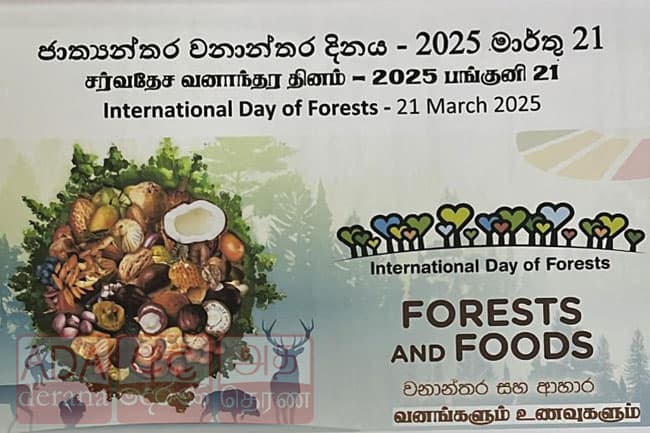 ජාත්‍යන්තර වනාන්තර දිනය අදයි