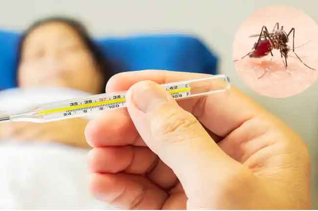 ඩෙංගු සහ චිකන්ගුන්‍යා ව්‍යාප්ත වීමේ අවදානමක්