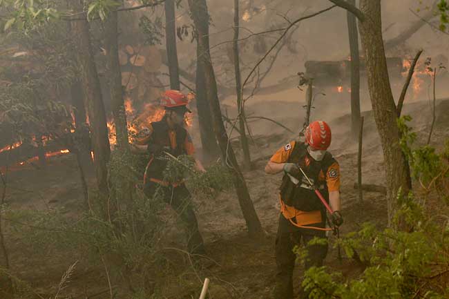 දකුණු කොරියාවේ දරුණු ලැව්ගින්නක්
