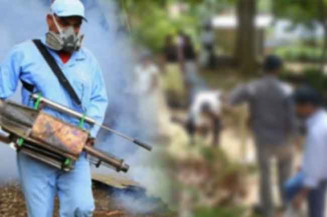 බස්නාහිර ඩෙංගු- චිකන්ගුන්යා මඩින සටන ඇරඹේ