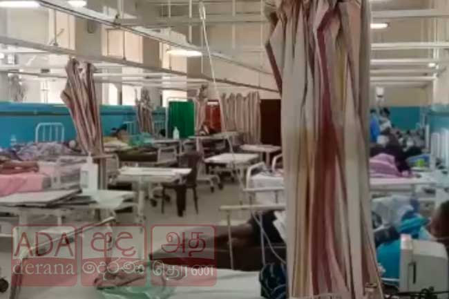 ඩෙංගු රෝගීන්ගේ ශීඝ්‍ර ව්‍යාප්තියක් - අප්‍රේල් මාසයට රෝගීන් 5,000 පනී